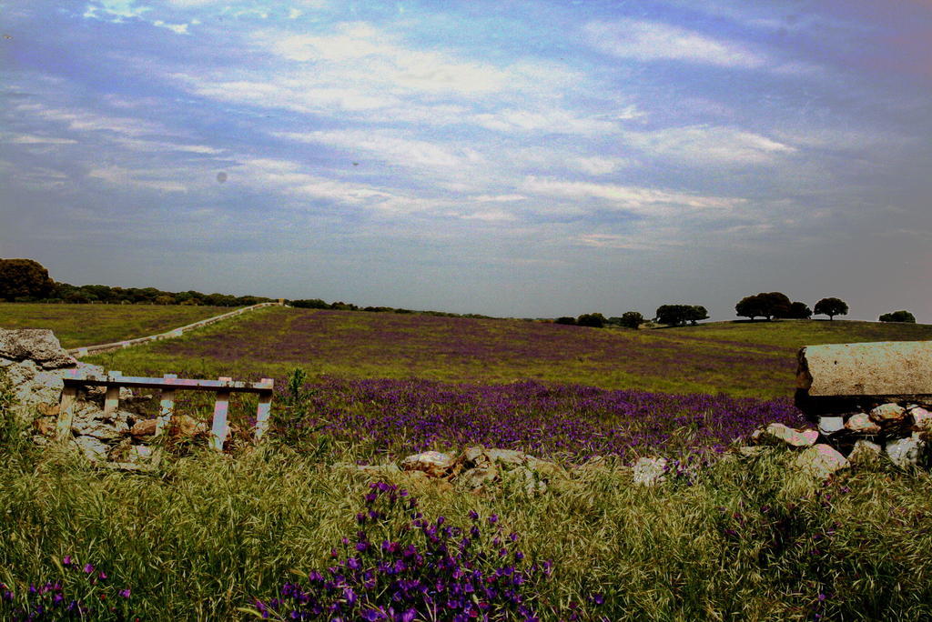 Casa Rural La Cuadraa Linares de Riofrío Rum bild