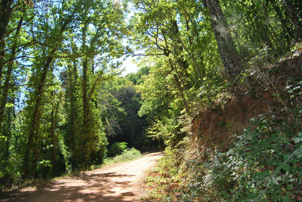 Casa Rural La Cuadraa Linares de Riofrío Rum bild