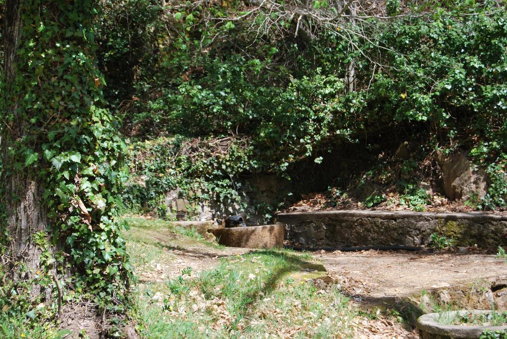 Casa Rural La Cuadraa Linares de Riofrío Exteriör bild